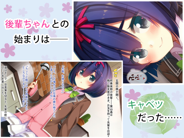 キャベツで出会う後輩ちゃん